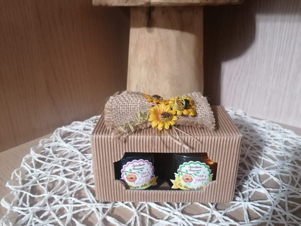 481155799_616002001355512_8591657758247044016_n