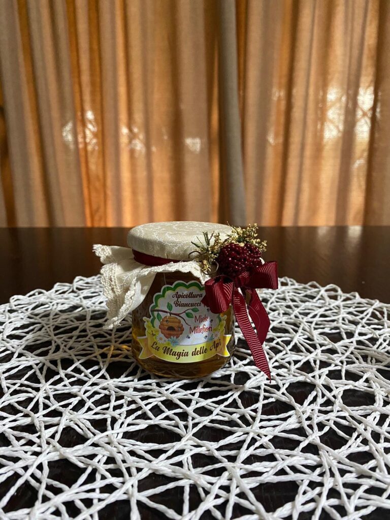 481283067_616670767955302_8142649735808369583_n