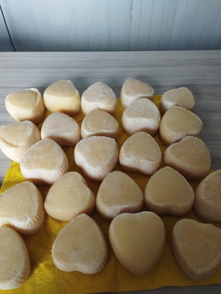 Azienda Agricola Salvucci Donato 3