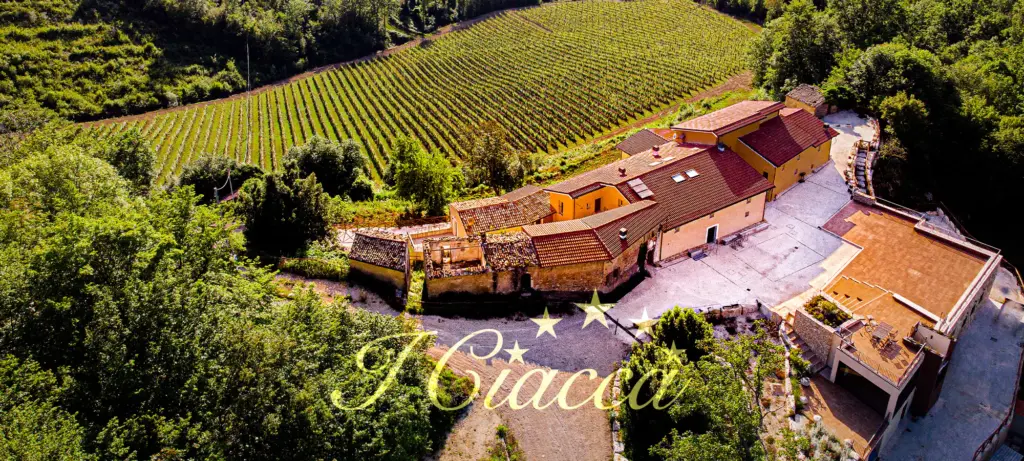 borgo_2_website_2100x