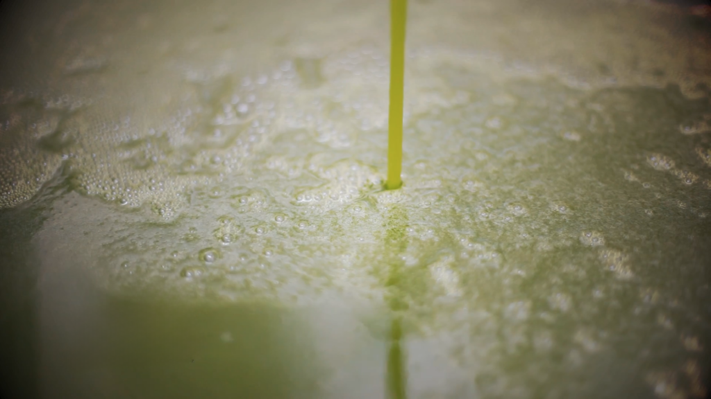 L'expérience de l'huile à l'olive 10