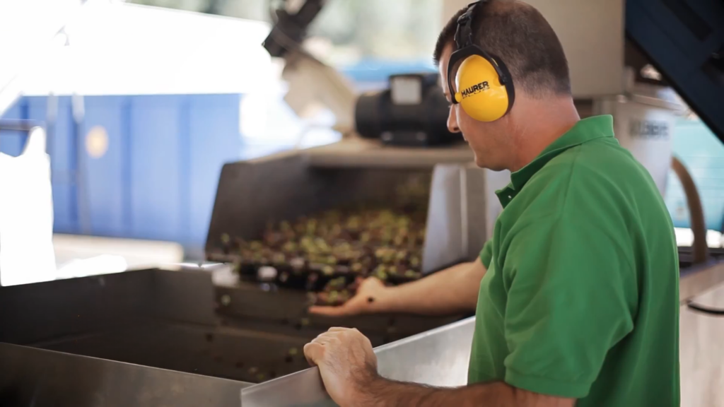 L'expérience de l'huile à l'olive 11