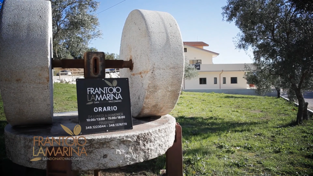 L'expérience de l'huile à l'olive 12