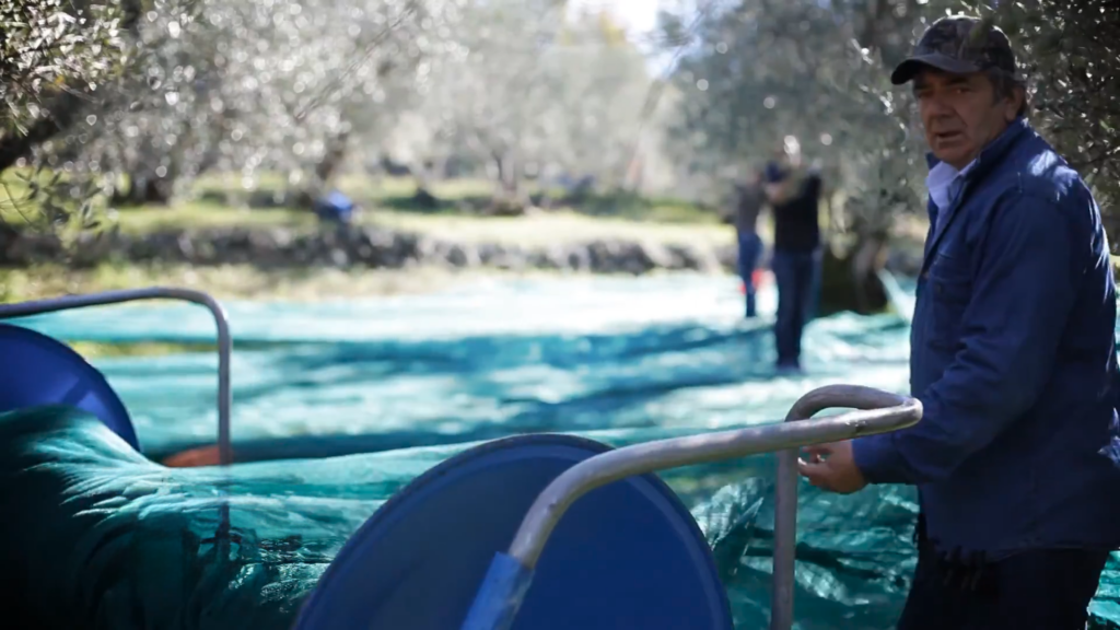 L'expérience de l'huile à l'olive 18