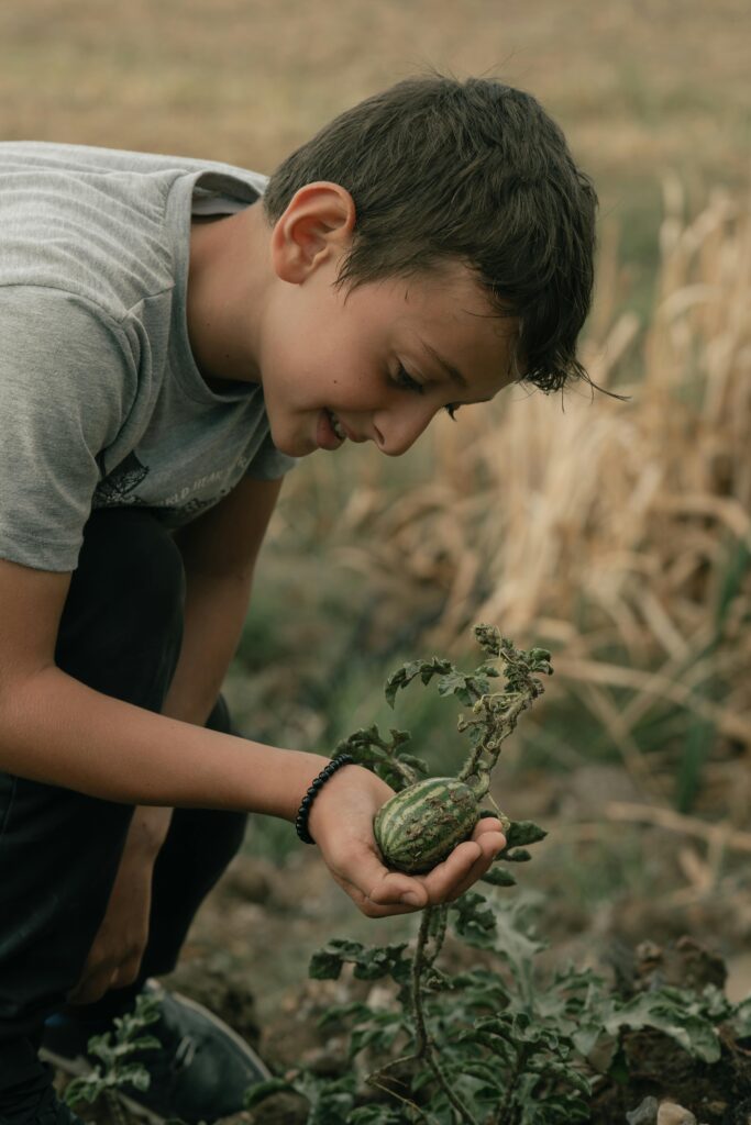 Educational Farm 001