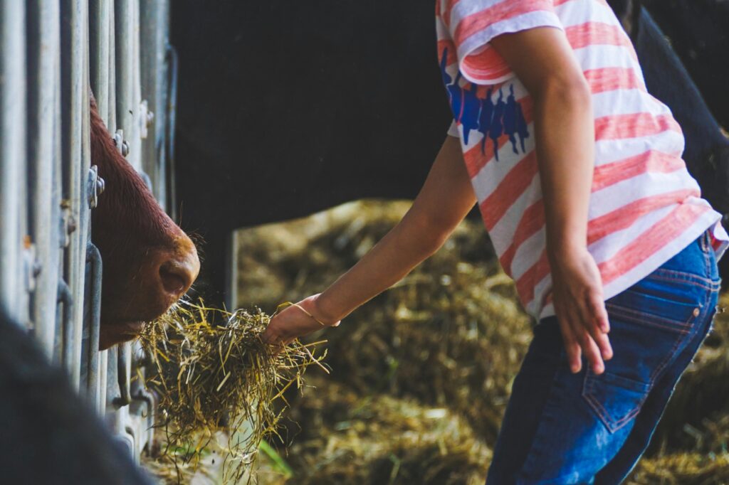 Educational Farm 002