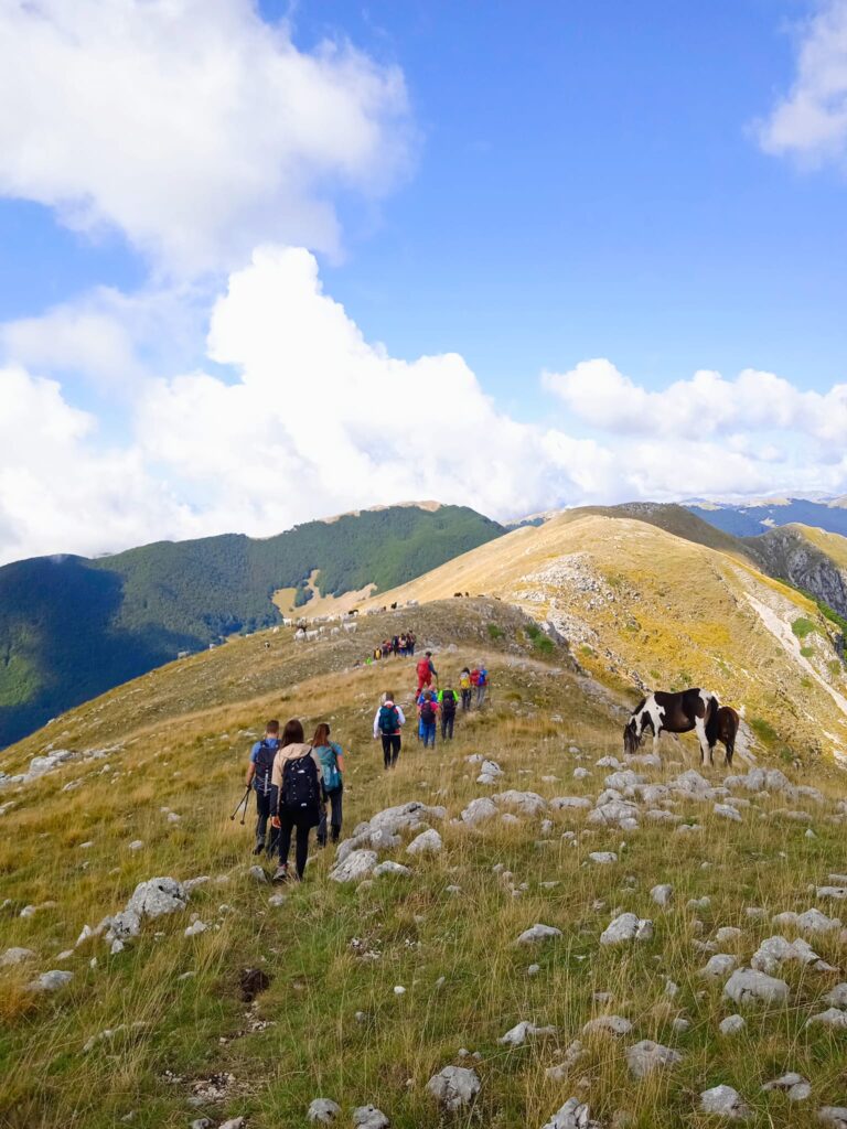 No cume do Monte Panico 006