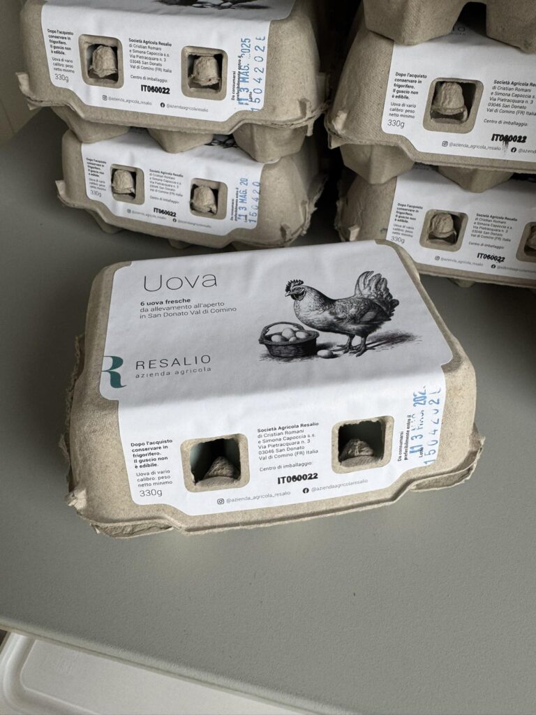 498238989_1335727691325931_6664100624096831748_n