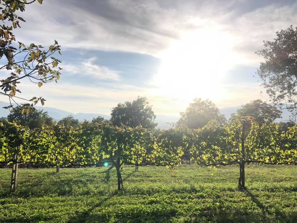 72698836_2394349010809684_664674376926363648_n