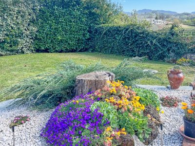 Casa Relax - 25